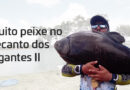 Pesqueiro Recanto dos Gigantes II - Muito Peixe na Ponta da Linha