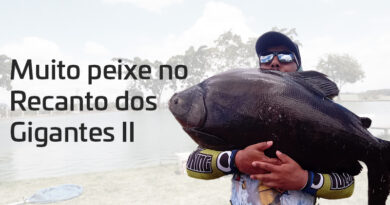 Pesqueiro Recanto dos Gigantes II - Muito Peixe na Ponta da Linha