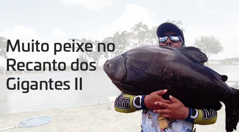 Pesqueiro Recanto dos Gigantes II - Muito Peixe na Ponta da Linha